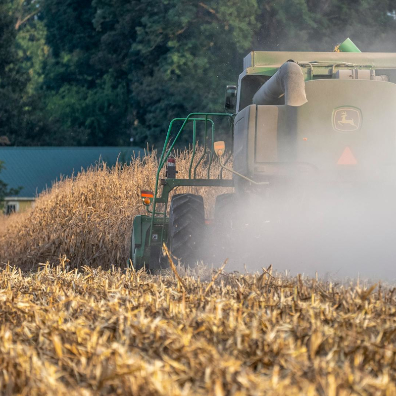 Harvest Time